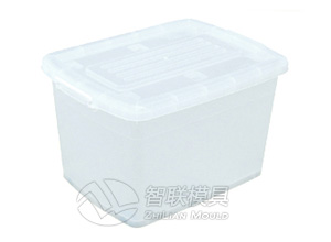 Storage box mould